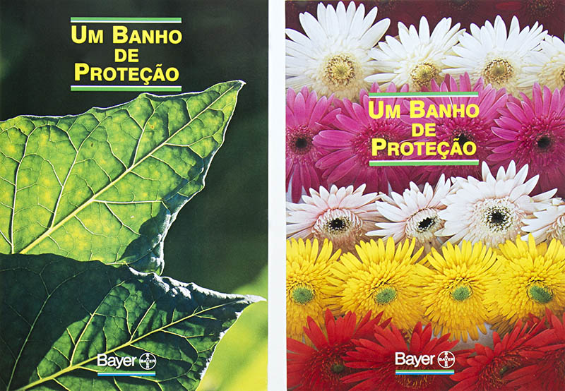 Bayer
